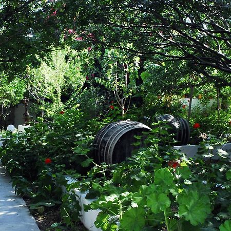 Milos Garden Apartment Adamantas  Luaran gambar