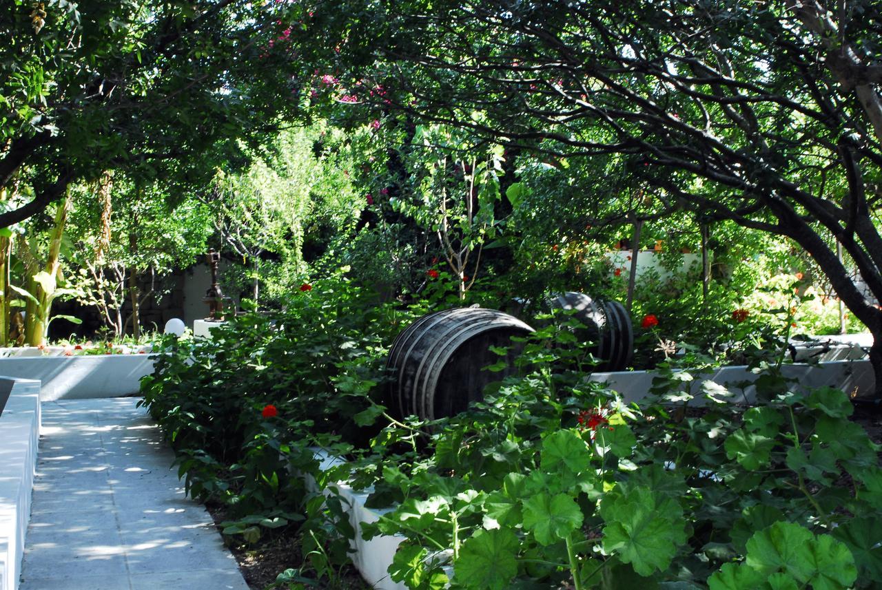 Milos Garden Apartment Adamantas  Luaran gambar
